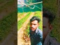 #hindi 🎵musictrending song❤️new#vlogvideo #shorys #viral #yout findsubscribe Shapath karo