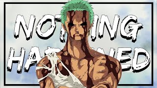 One Piece Analysis - Roronoa Zoro: Swordsmanship and Stoicism (Nothing Happened)