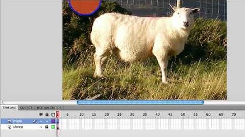 merihelp.net: Flash Tutorial - masking (cc).mp4