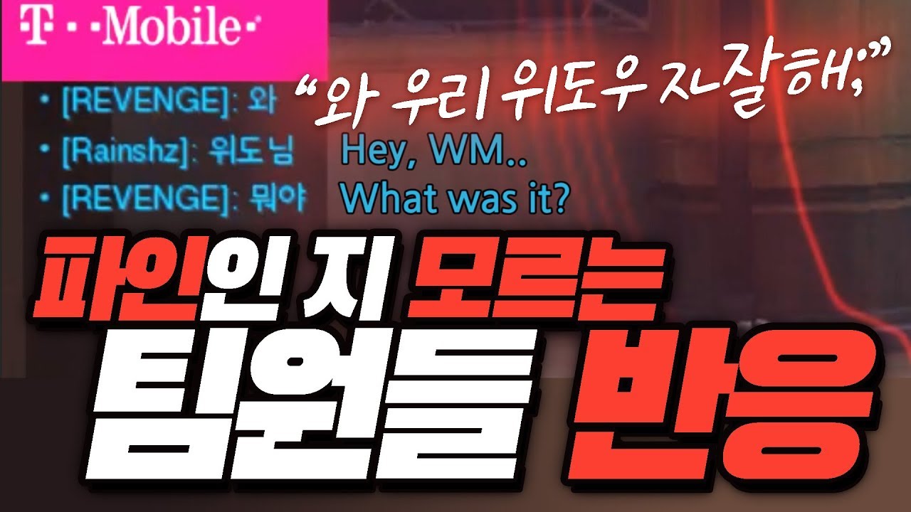 (ENG sub) When the team don't know their Widowmaker is PINE