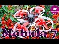 ✔ Мой Любимый Tiny Whoop - Happymodel Mobula 7 !