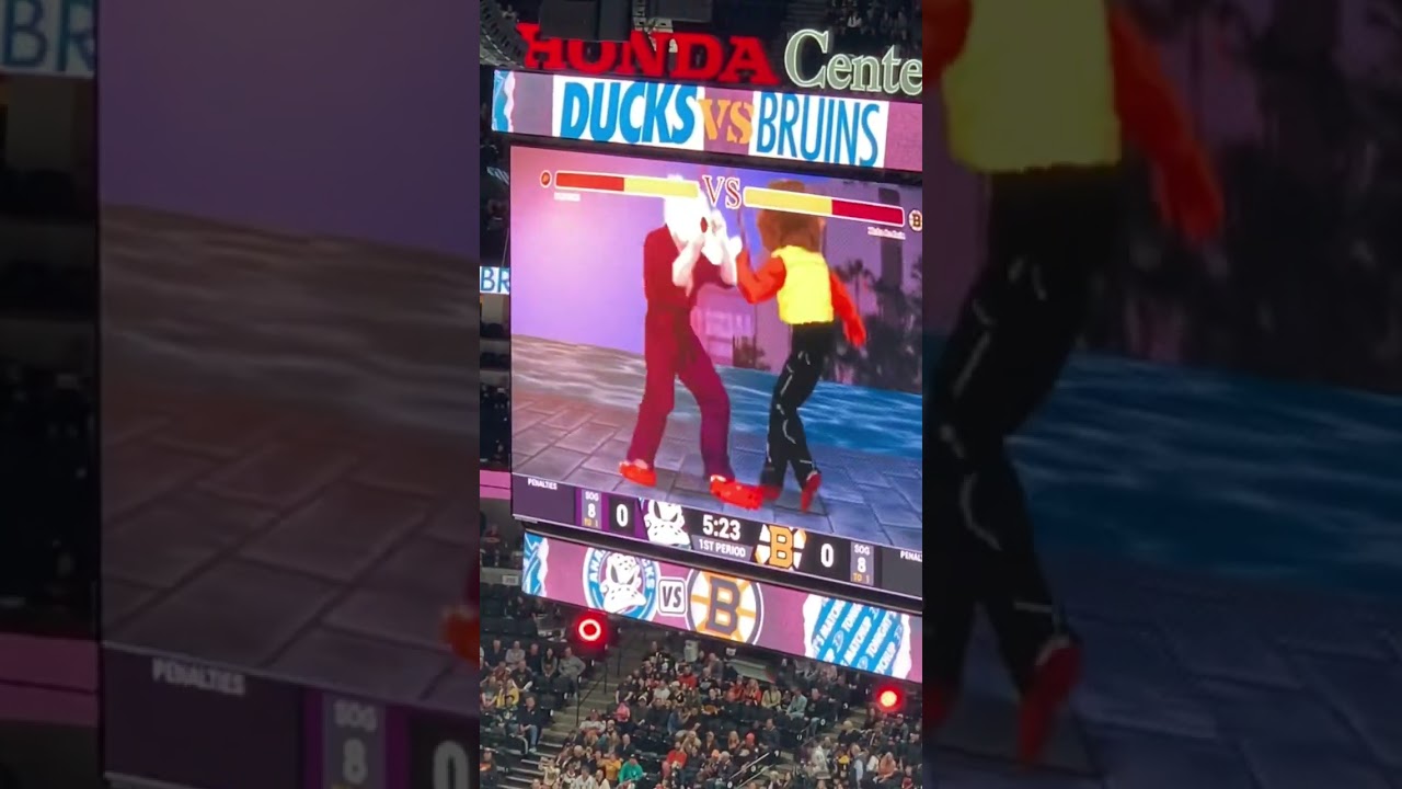 Wild Wing KO’s the Boston Bruin