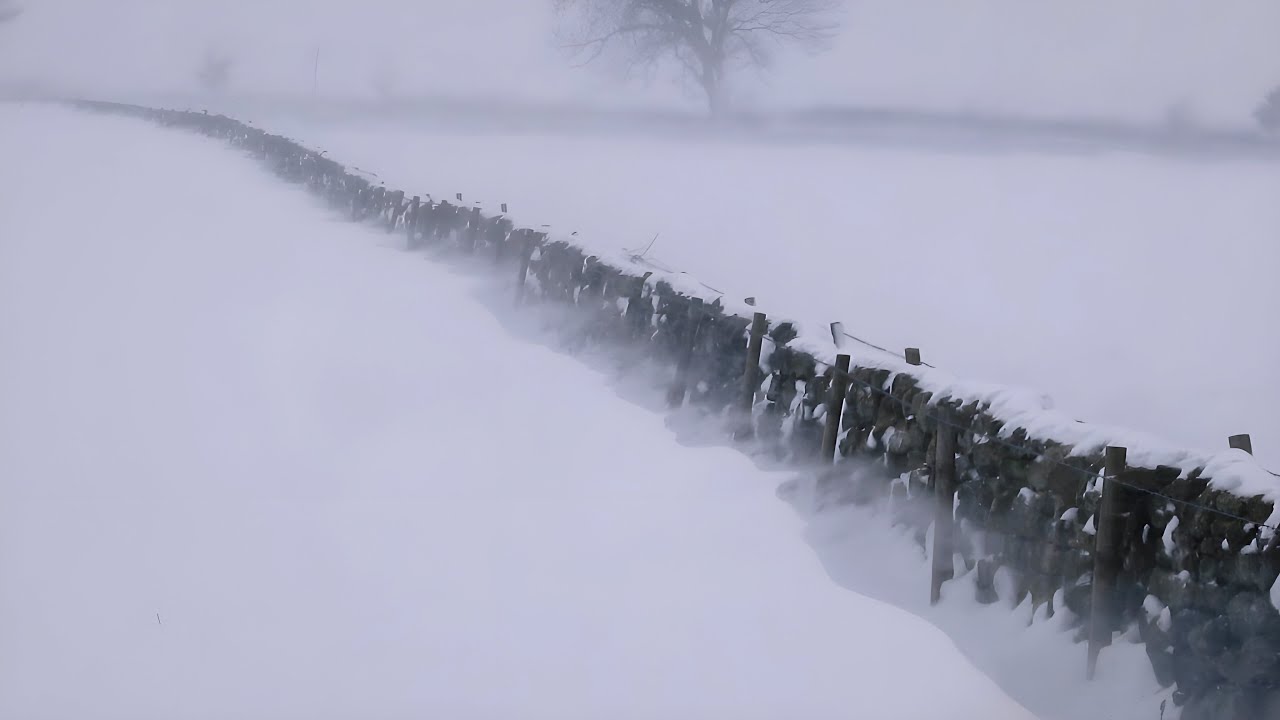 3-Hours of Snowstorm Sounds in the Countryside | Extreme Cold Weather for Deep Sleep & Stress Relief