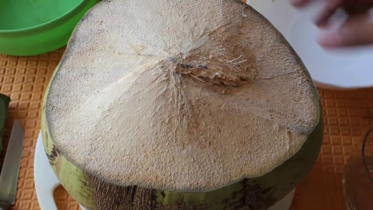 39+ Aloe Vera Benefits For Stomach