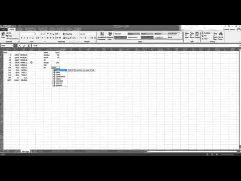 Excel Describing data