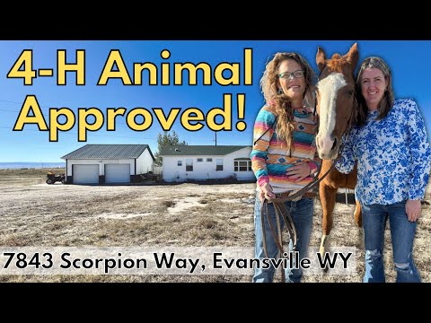 7843 Scorpion Way, Evansville, WY home video tour