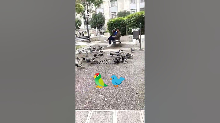 pigeon Natural🦜 DogDay, Huggy Wuggy, CatNap Statue Timelapse Build | Poppy Playtime Chapter #shorts