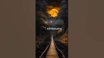 تلاوه هادئه للقارئ الشيخ ياسر الدوسري اكتب شئ تؤجر عليه 💚🩵