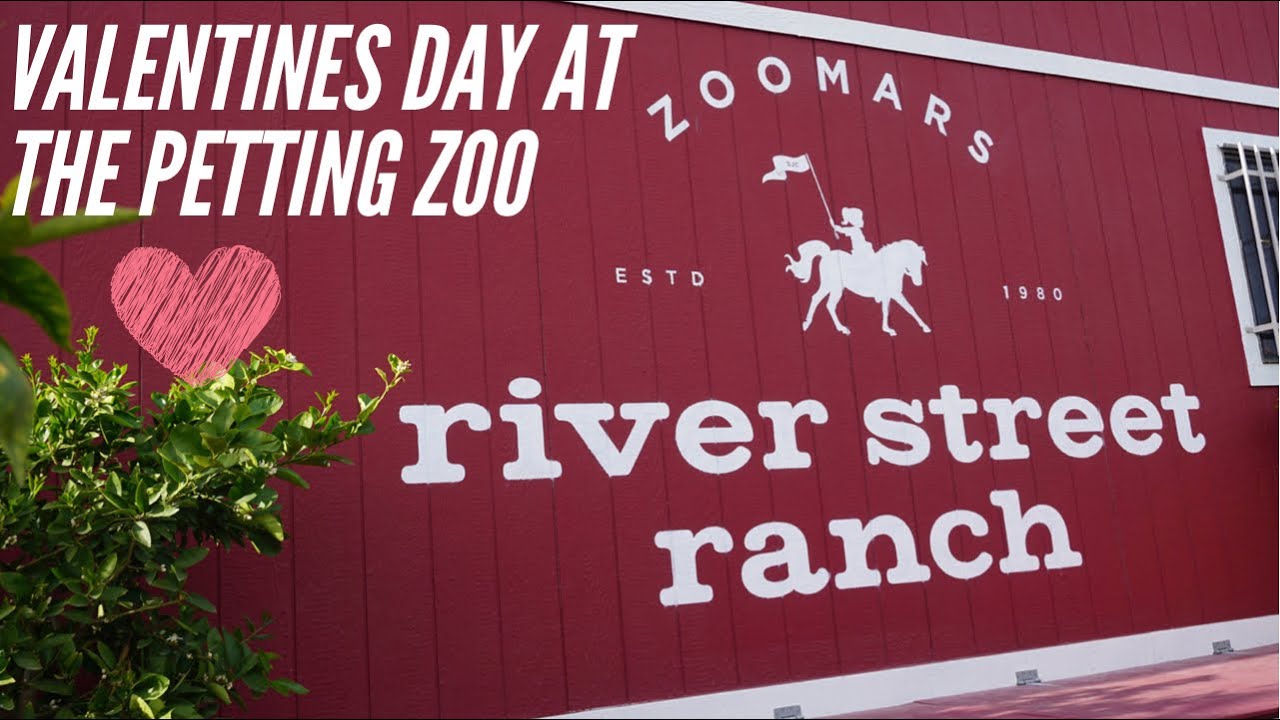 Spending Valentine’s Day at Zoomars Petting Zoo in San Juan Capistrano + Cream Pan Japanese