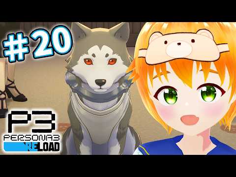 【P3R】初見！コロちゃんお散歩と夏期講習『ペルソナ3 リロード』8/9~8/19※ネタバレあり #20【#vtuber/花咲柚子】