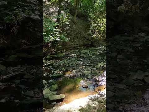 SEBUAH SUNGAI DI DEKAT JALUR HIKING YANG SANGAT BAGUS DAN HANYA SEDIKIT ORANG YANG TAHU! 🏞️ #petualanganmusimgugur #pendaki