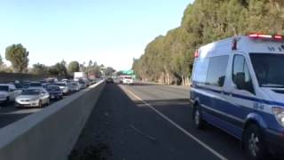 Fallen Tree Blocks I-80 in Vallejo