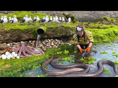 The tide went way out after the storm! Xiao Zhang had a huge haul! Is this gemstone necklace real...