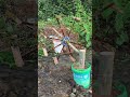 Bamboo wheel hydraulic experiment