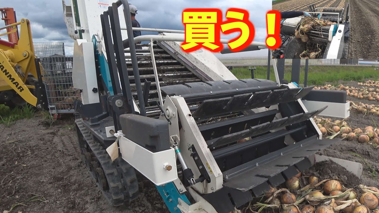 クボタ たまねぎ オニオンハーベスター ピッカー KOP-1000 収穫機 堀取