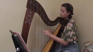 Sally Gardens Harp cover