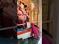 Deva O Deva Ganpati Deva Shorts mp3