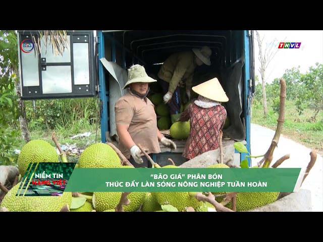 “Bão giá” phân bón thúc đẩy làn sóng nông nghiệp tuần hoàn