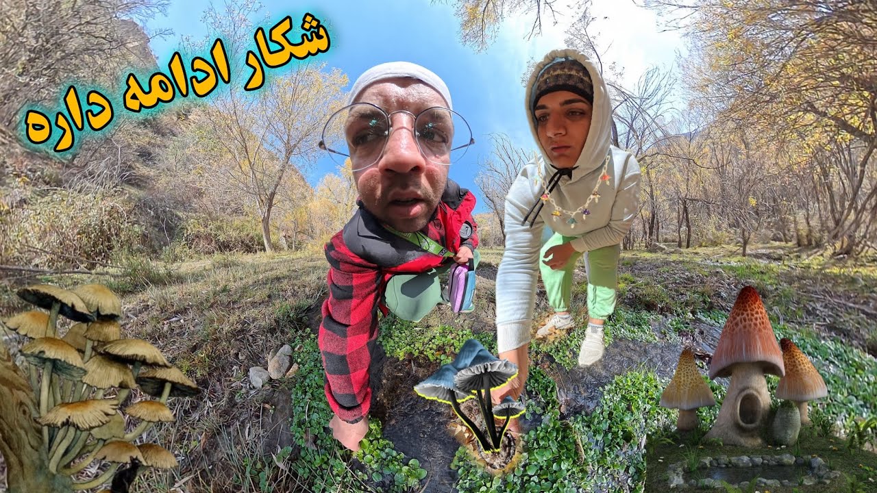 پاشو بریم جنگل شکار قارچ قسمت دوم