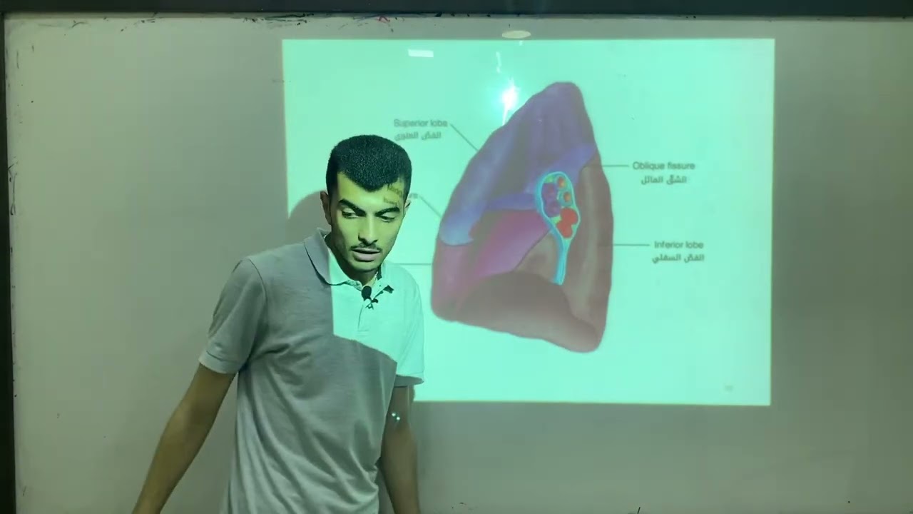 الفصل الرابع | الرئتين |