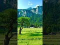 #nature #naturesounds #relaxing #aesthetic
