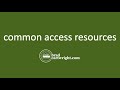 Common Access Resources  (Tragedy of the Commons)  |  Market Failure  |  IB Microeconomics