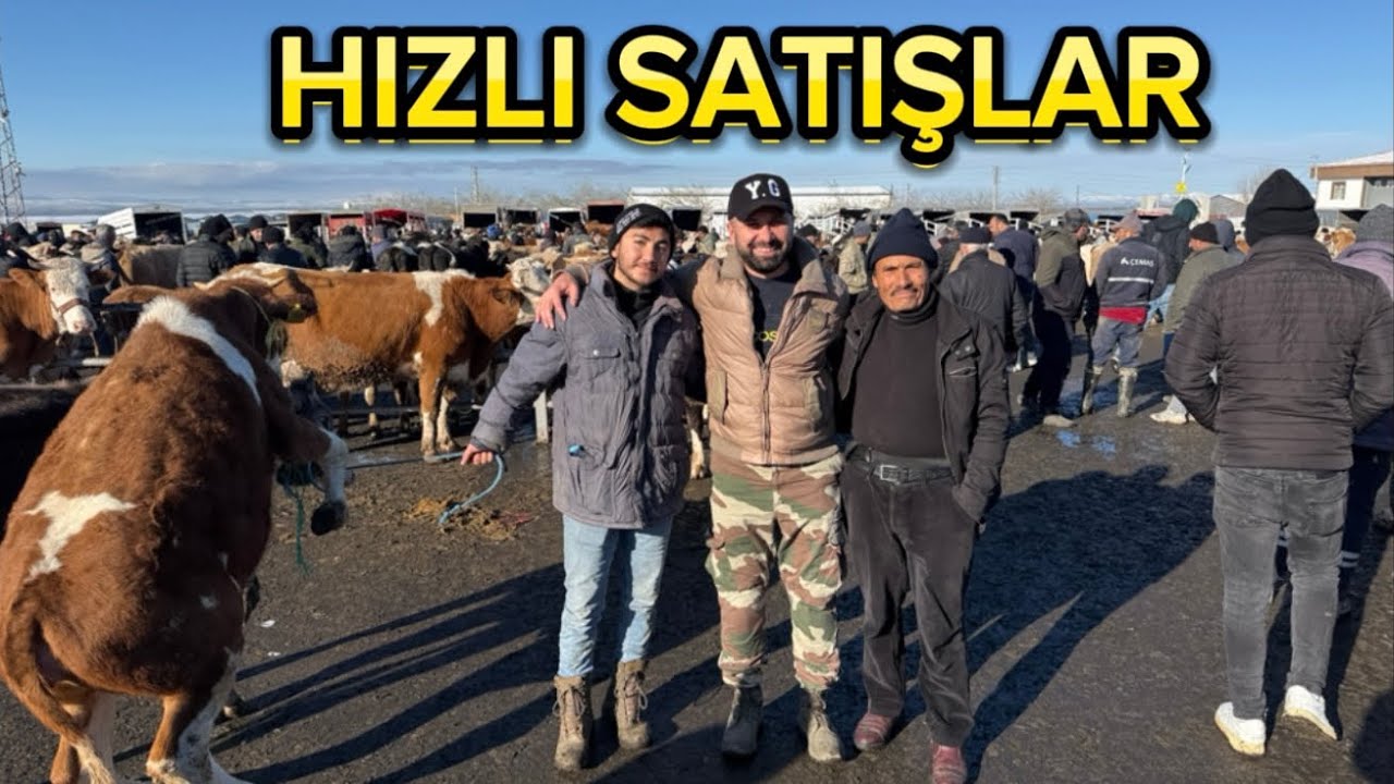 KIRŞEHİR HAYVAN PAZARI GÜNCEL FİYATLAR