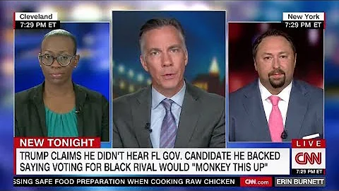 CNN - Nina Turner on DeSantis saying "monkey this ...