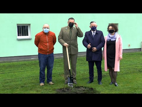 „Dęby Śląskie” na rocznicę wybuchu Powstania Śląskiego „Dęby Śląskie” na rocznicę wybuchu Powstania Śląskiego