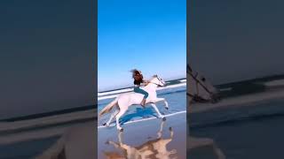 teri bhabhi #varundhawan #horse #royaltyfreemusic