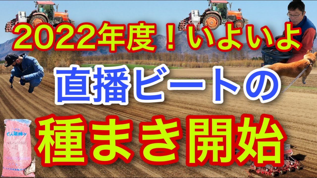2022! Direct seeding of beets has finally begun! - YouTube
