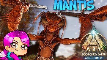 HOW TO TAME MANTIS - SCORCHED EARTH - Ark Survival Ascended