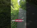 Spazieren über die Trasse Richtung Burscheid