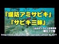 サビキ餌決定戦の抜粋【水中動画の定期更新No.617】