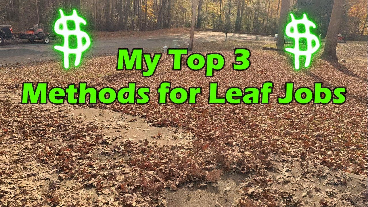 Leaf Removal Tips ( 3 Top strategies) - YouTube