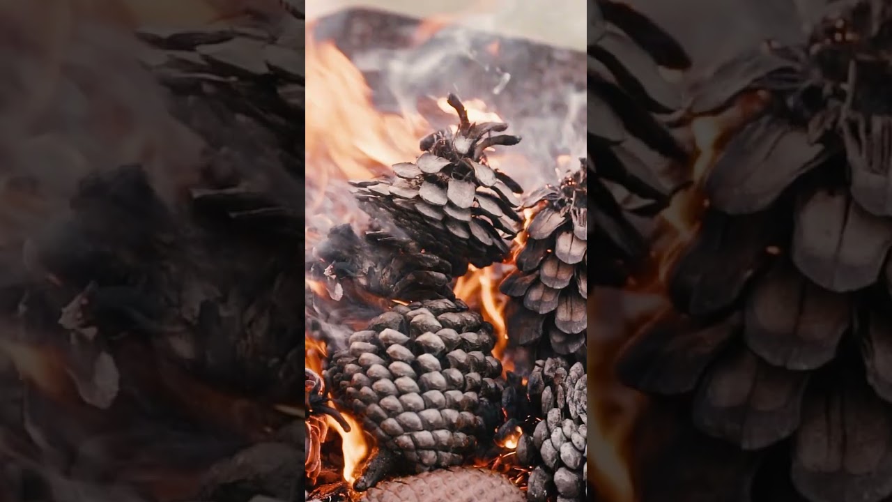 Glamping in Waitaki Valley, New Zealand 💚 