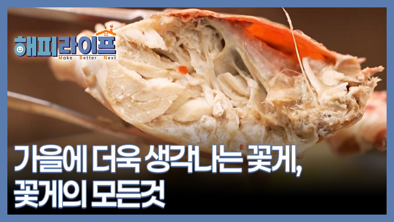 가을에 더욱 생각나는 꽃게, 꽃게의 모든것 MBN 260902 방송