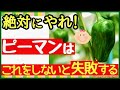 家庭菜園で100個以上のピーマンを収穫する!圧倒的に良く育つ最強の秘策【初心者・ピーマン栽培・育て方】