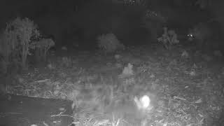 Standing at 5:24 AM PDT.