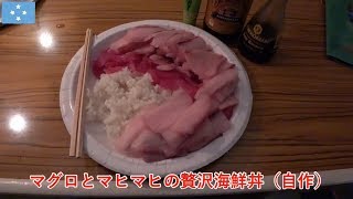 ミクロネシア旅その23　ポンペイ島でのんびり過ごして刺身を食べる1日です（ミクロネシア連邦）【無職旅】【旅行記】