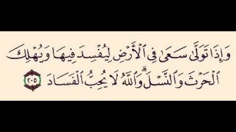 وَإِذَا تَوَلَّىٰ سَعَىٰ فِي الْأَرْضِ لِيُفْسِدَ فِيهَا وَيُهْلِكَ الْحَرْثَ وَالنَّسْلَ الآية 205