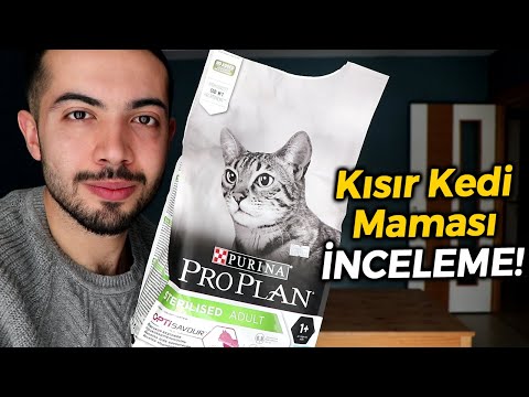 Video: Purina Hayvan Onur Listesi, 2010