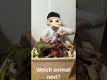 Which animal will we pick next?