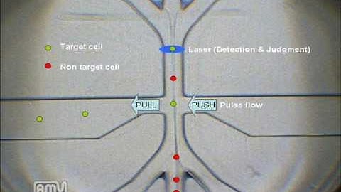 cellsorting_red_ink2