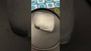 Black Box Experiment 2021