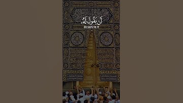 سعد الغامدي (سورة يس)