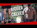 BIGGER CALVES IN 5 Minutes