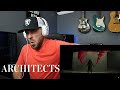 Architects - "Animals" (REACTION!!!)