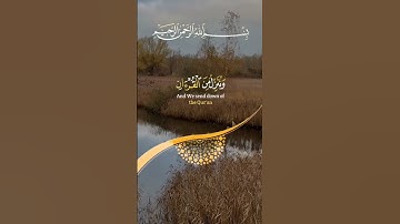 القرآن شفاء لما في الصدور #القران_الكريم #qoran_karim #quran #تلاوة_خاشعة #اكسبلور #capcutedit