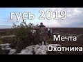 🏕 ОХОТА НА ГУСЯ ВЕСНА 2019 .МЕЧТА ОХОТНИКА.